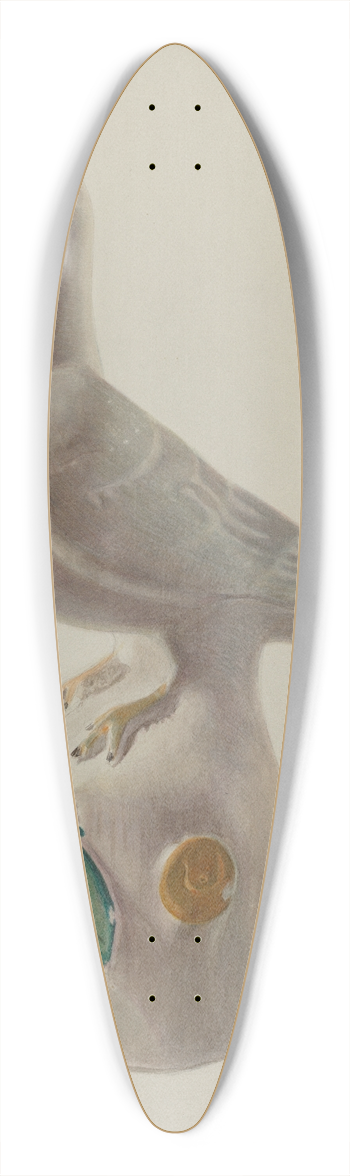 Franklyn Syres - Dove 39.3 inch art pintail longboard deck