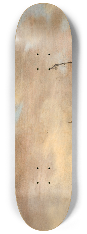 Jeronymus van Diest - Quiet lake 8.25 inch art skate deck