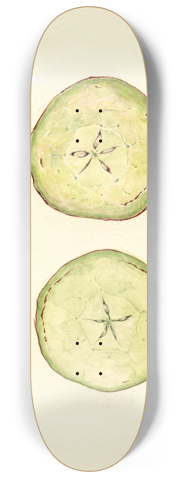 J.F. Brewer - Malus domestica 8.25 inch art skate deck
