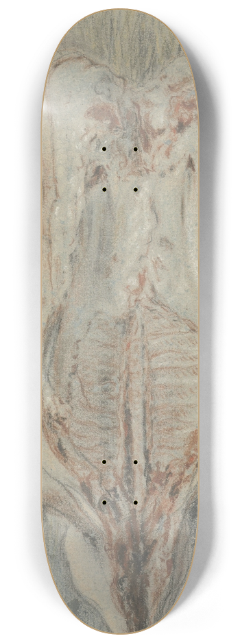 Jean Simon Chardin - Geslacht varken op een leer 8.25 inch art skate deck