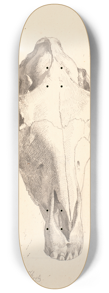 Johan Thomas Lundbye - Hjortekranium 8.25 inch art skate deck