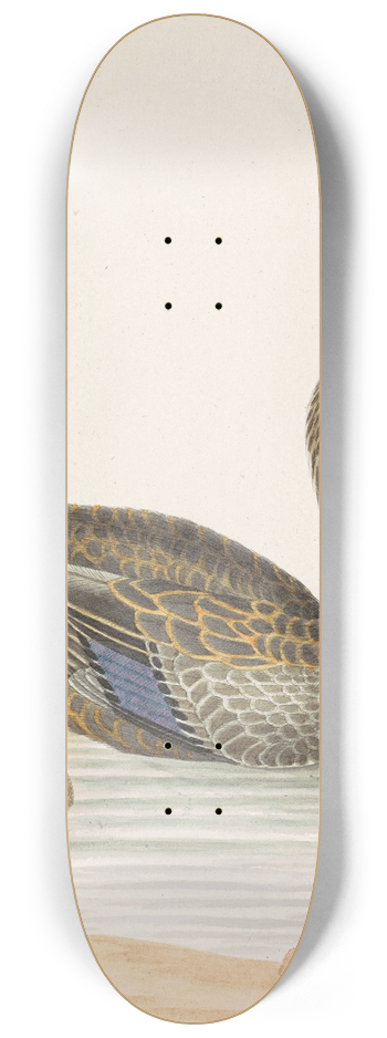 John Abbot - Roan Duck 8.25 inch art skate deck