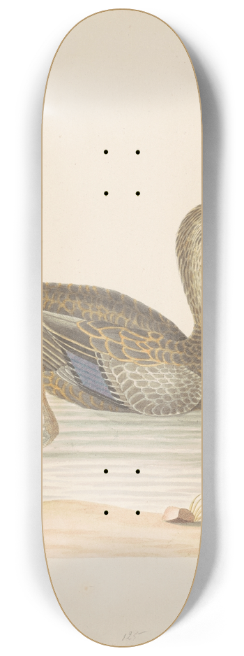 John Abbot - Roan Duck 8.25 inch art skate deck