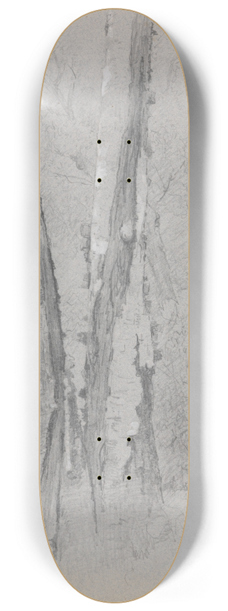 Jervis McEntee - Study of Birch Trunks (Scribners) 8.25 inch art skate deck