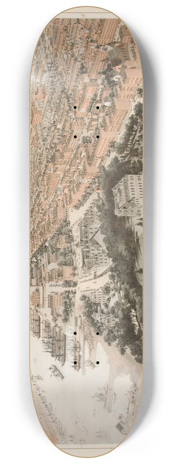 John Bachmann - Hoboken 8.25 inch art skate deck