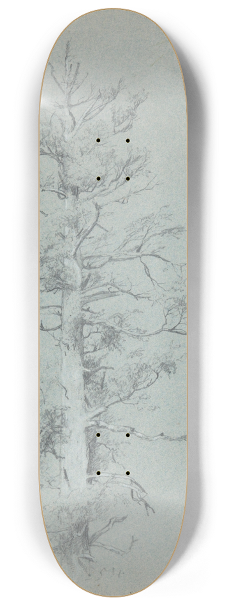 Jervis McEntee - TreeStudy 8.25 inch art skate deck