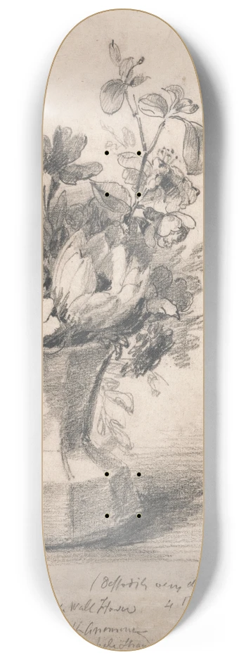 John Constable - Flowers in a Pitcher 8.25 inch art skate deck