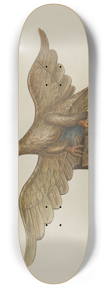 John Davis - Eagle 8.25 inch art skate deck