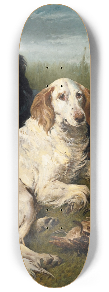 John Emms - A DAYS BAG 8.25 inch art skate deck