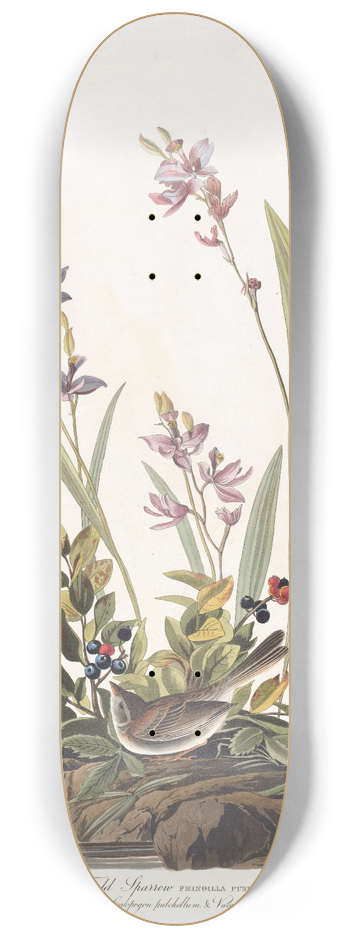 John James Audubon - Field sparrow 8.25 inch art skate deck