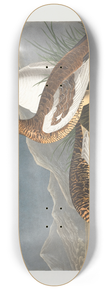 John James Audubon - Rock grous 8.25 inch art skate deck