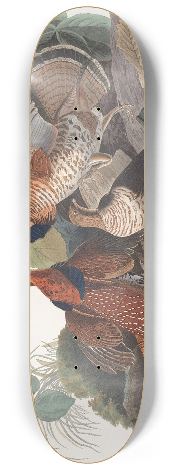 John James Audubon - Ruffed grous 8.25 inch art skate deck