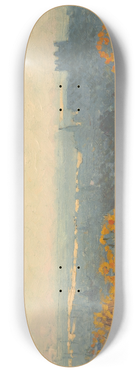 Jindich Tomec - View of Bratislava 8.25 inch art skate deck