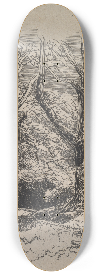 John Middleton - A Path through the Wood 8.25 inch art skate deck