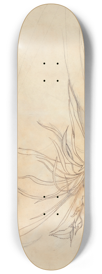 John Ruskin - Sketch of Foliage 8.25 inch art skate deck
