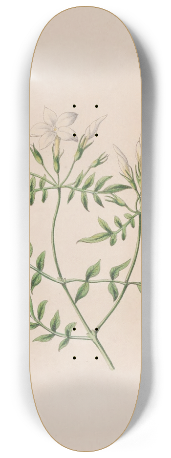 John Stevens Henslow - Strawberry Tree 8.25 inch art skate deck