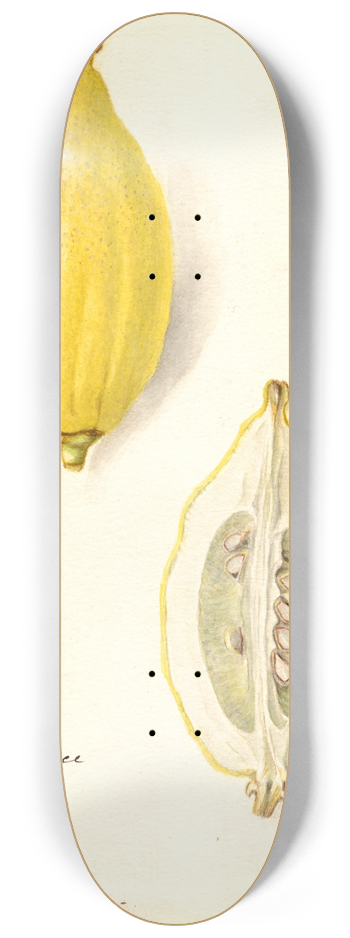 Amanda Almira Newton - Citrus limon: Etrog 8.25 inch art skate deck