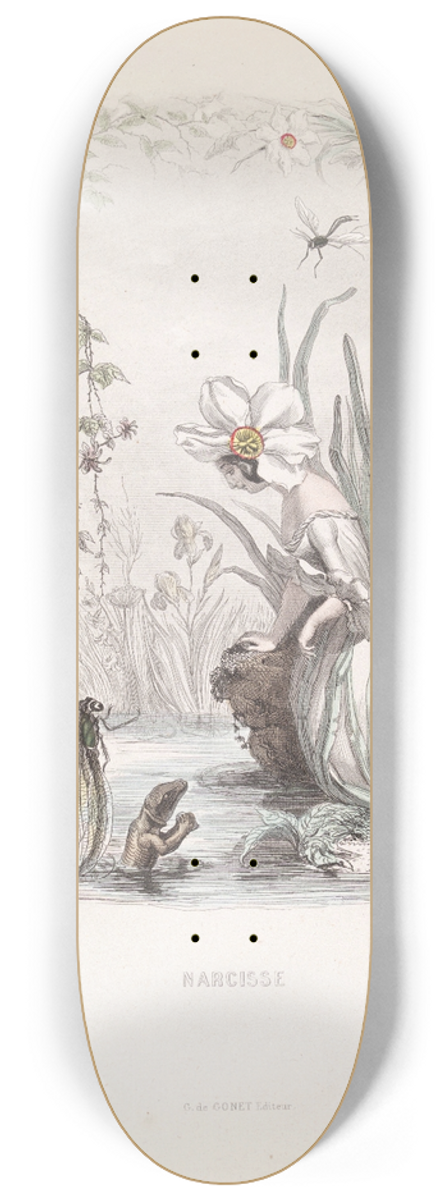J. J. Grandville - Narcisse 8.25 inch art skate deck