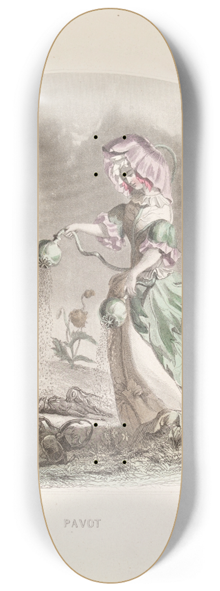 J. J. Grandville - Pavot 8.25 inch art skate deck