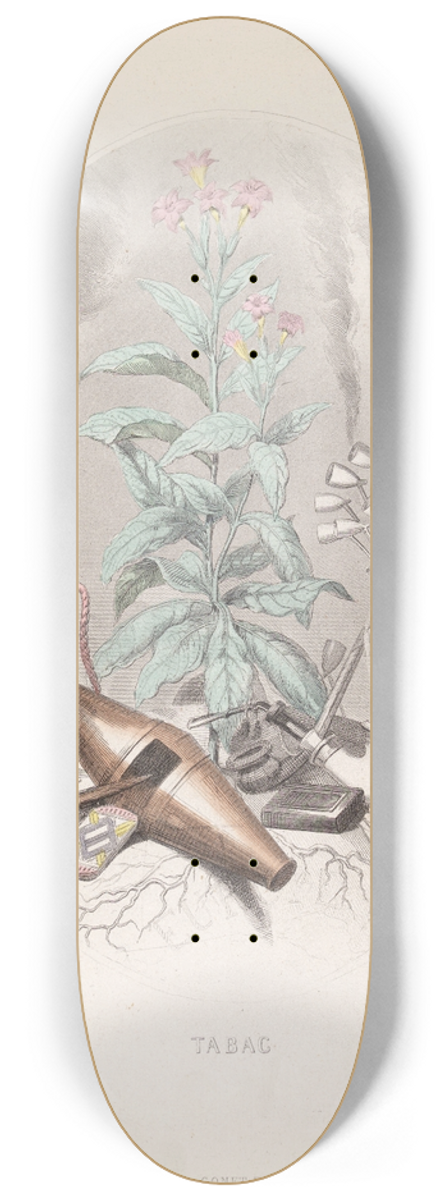 J. J. Grandville - Tabac 8.25 inch art skate deck