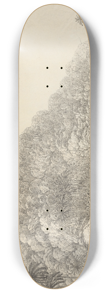 John Webber - View in the Island of Pulo Condore 8.25 inch art skate deck