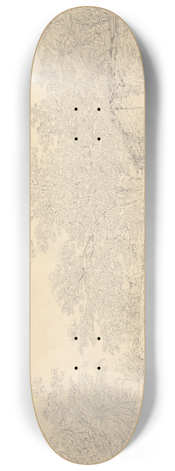 John Webber - Village Scene 8.25 inch art skate deck