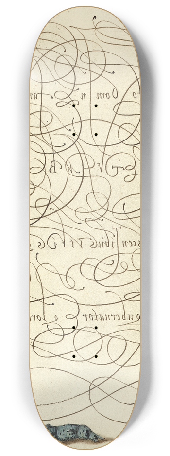 Joris Hoefnagel - Caterpillar and Insect 8.25 inch art skate deck