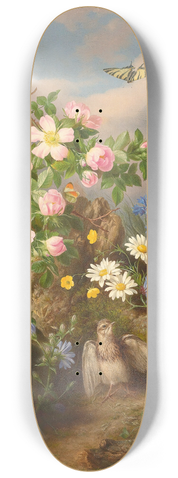 Josef Lauer - Still life with bird 8.25 inch art skate deck
