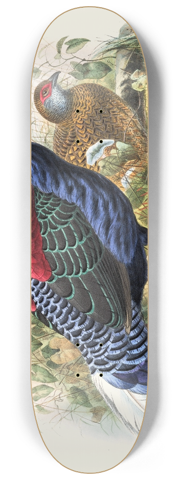 Joseph Smit - Euplocomus Swinhoei. 8.25 inch art skate deck