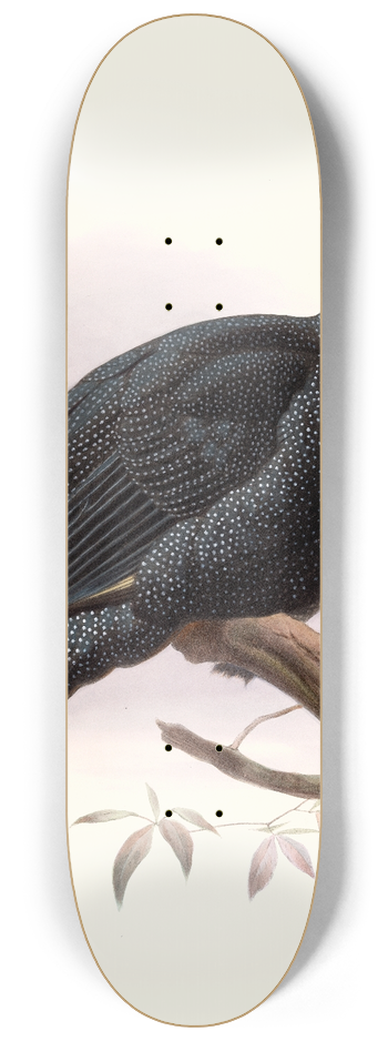Joseph Smit - Numida Pucherani. 8.25 inch art skate deck