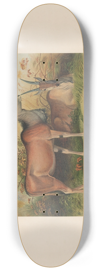 Joseph Wolf - The Eland 8.25 inch art skate deck