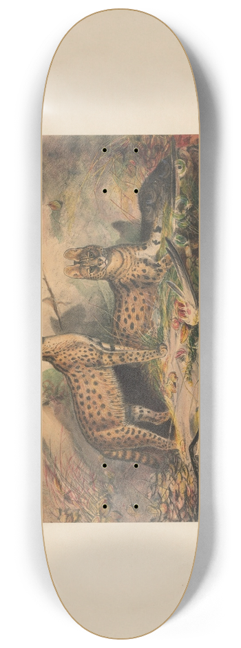 Joseph Wolf - The Serval 8.25 inch art skate deck