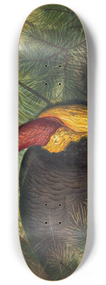 Joseph Wolf - The Talegalla 8.25 inch art skate deck