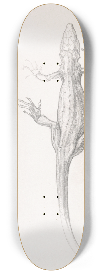 Julie de Graag - Hagedis 8.25 inch art skate deck