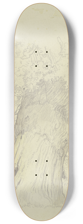 Julius Hamel - Tree 8.25 inch art skate deck