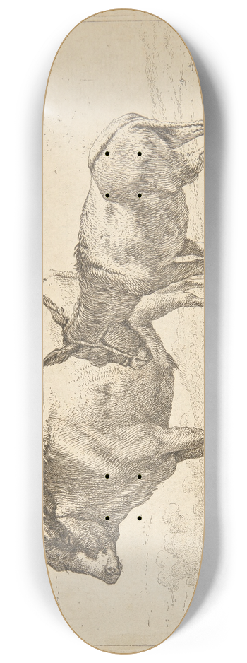 Karel Dujardin - En okse og et sel 8.25 inch art skate deck