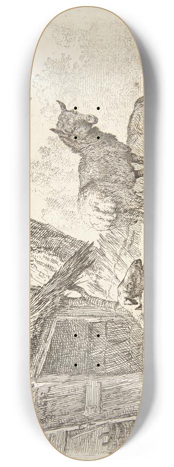 Karel Dujardin - Fire fr 8.25 inch art skate deck