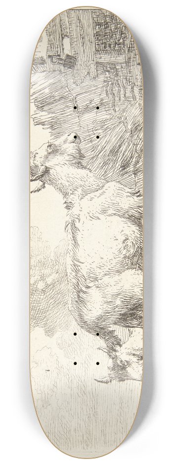Karel Dujardin - Fire geder 8.25 inch art skate deck