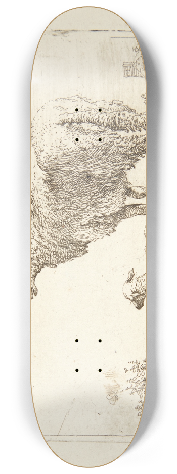 Karel Dujardin - Fr med et lam 8.25 inch art skate deck