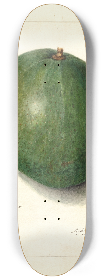 Amanda Almira Newton - Persea: Blackman 8.25 inch art skate deck