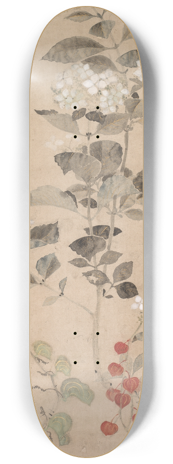 Kitagawa Ssetsu - Summer Flowers 8.25 inch art skate deck