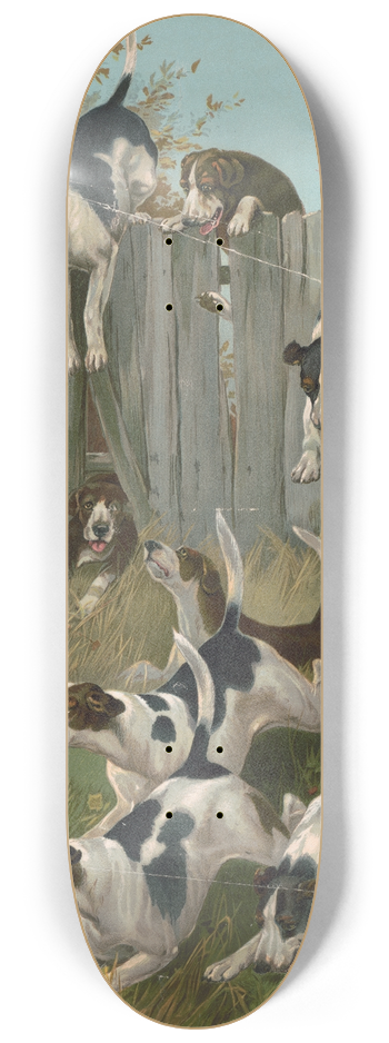 Knapp & Co. - Here they come 8.25 inch art skate deck