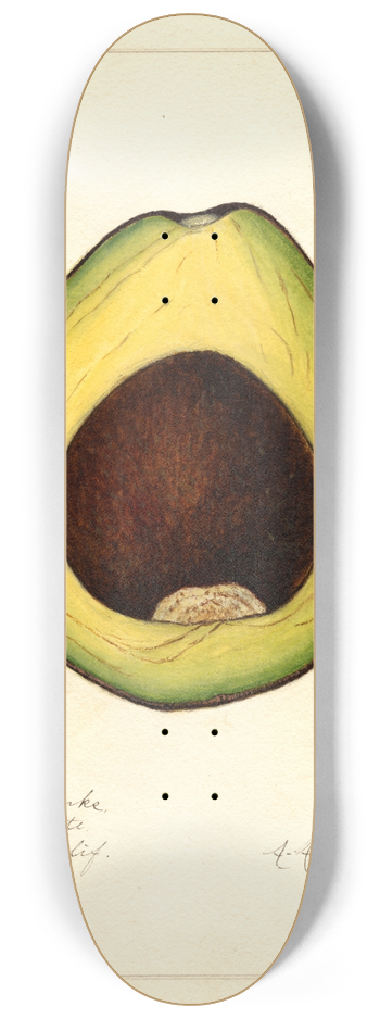 Amanda Almira Newton - Persea: Spinks 8.25 inch art skate deck