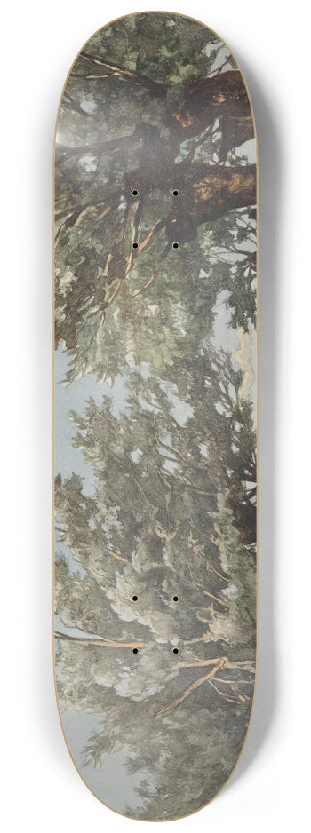 Johan Hendrik Weissenbruch - Landschap met een sloot waar twee jongens vissen 8.25 inch art skate deck