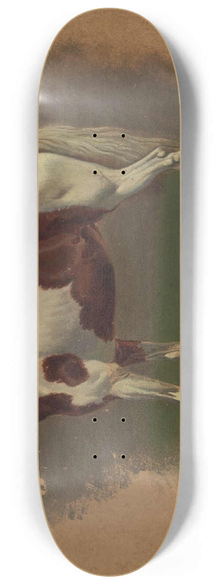 Johann Adam Klein - Pferdestudie 8.25 inch art skate deck