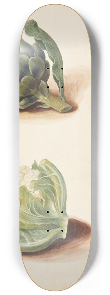 Johanna Fosie - Studie af artiskok og blomklshoved 8.25 inch art skate deck