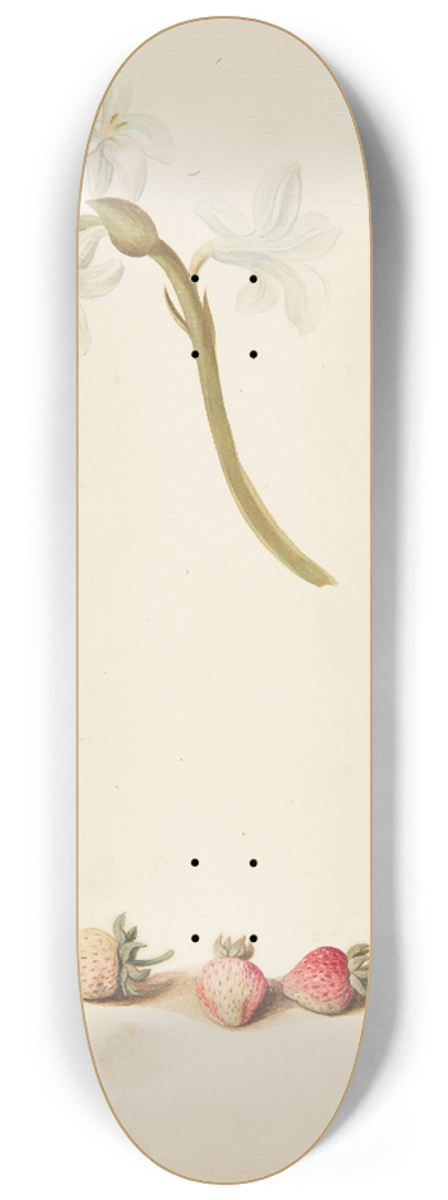 Johanna Fosie - Studie af blomst og jordbr 8.25 inch art skate deck