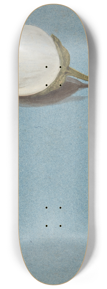 Johanna Fosie - Studie af br 8.25 inch art skate deck