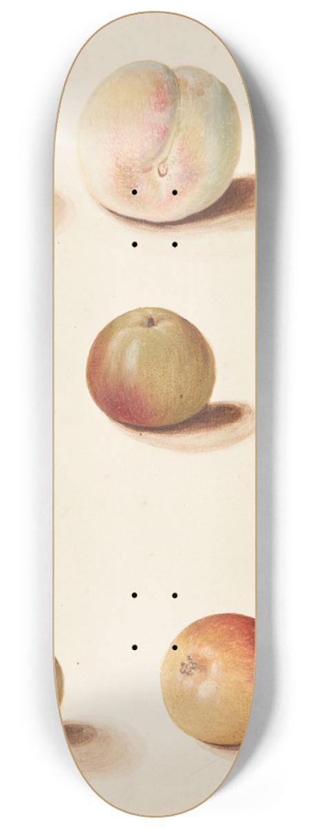 Johanna Fosie - Studie af fersken, ble og pre 8.25 inch art skate deck