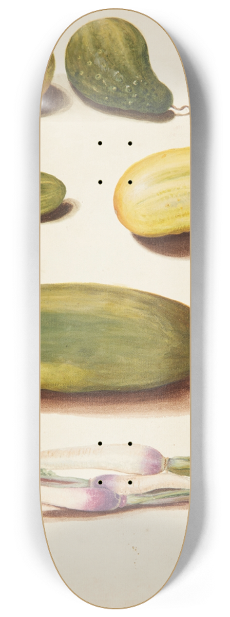 Johanna Fosie - Studie af grntsager 8.25 inch art skate deck